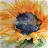 Painting Flowers in Watercolour