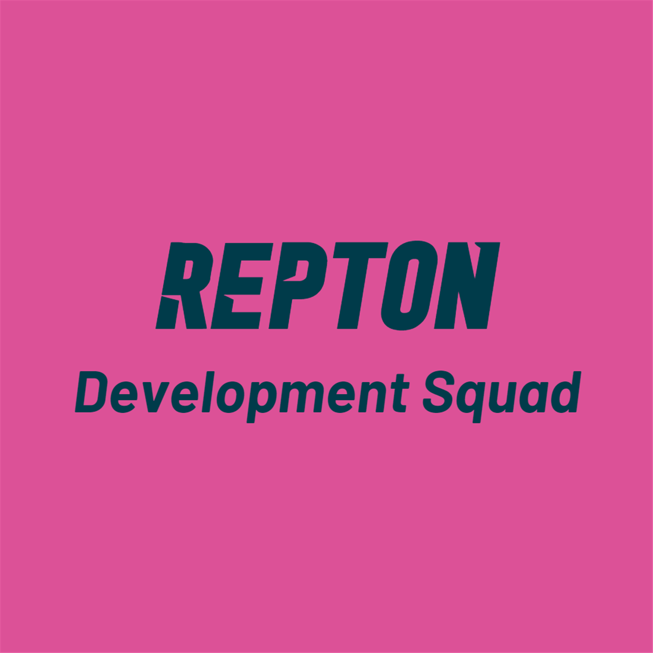 Repton Sports Plus Development Squad