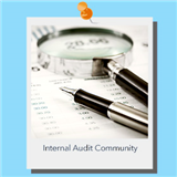 Hints and tips for a career in internal audit